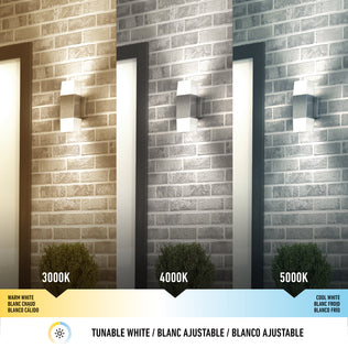 The Artika Lennox indoor-outdoor LED wall light 3 CCT shines on a brick wall, displaying warm white (3000K), neutral white (4000K), and cool white (5000K) lighting effects, with each labeled; a small bush sits below.