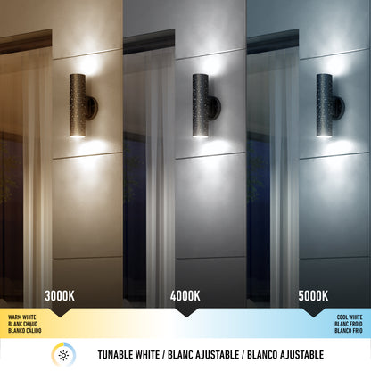 Cosmic indoor-outdoor LED wall light 3 CCT