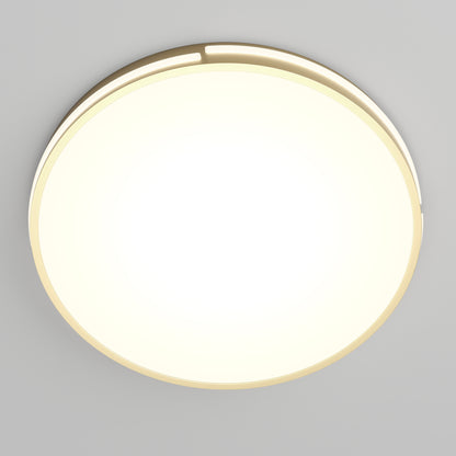 Delray 15.7 in. LED modern flush mount light 5 CCT