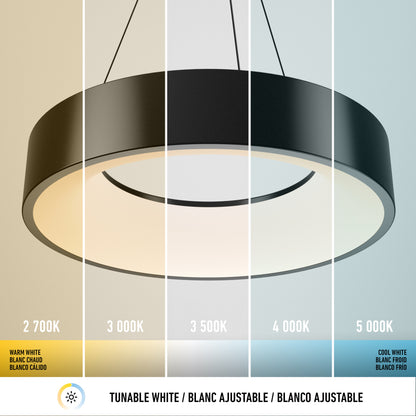 Aiden LED pendant light