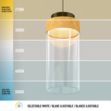 A pendant light with selectable white color temperatures, ranging from warm white at 2700K to cool white at 5000K, is shown against a gradient background illustrating the different light tones.
