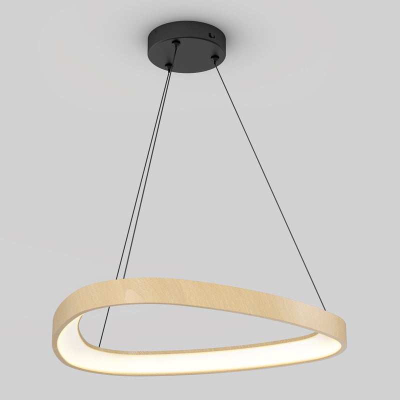 Bjorn modern LED pendant light 5 CCT, Black & Wood