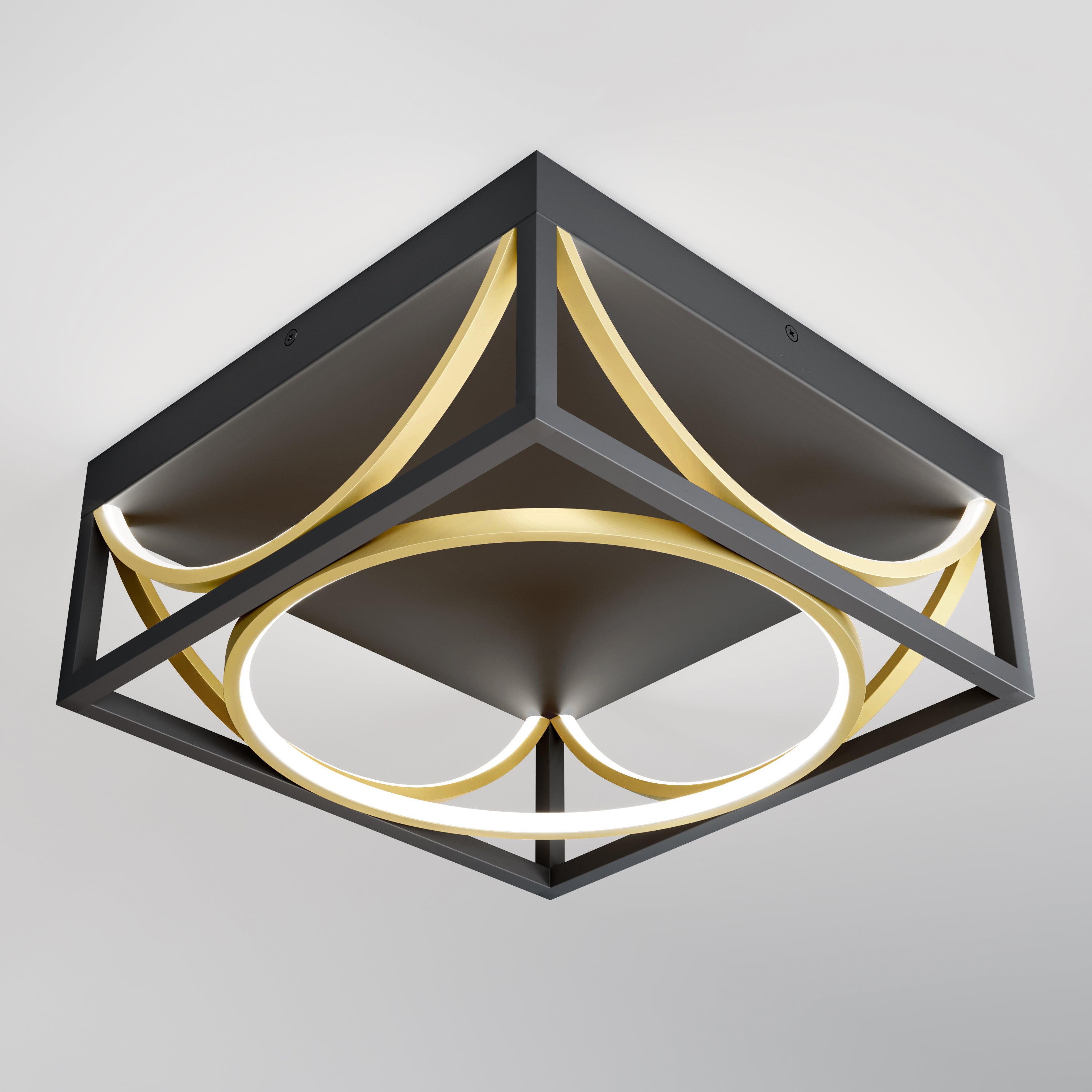 Luxury LED Ceiling Light