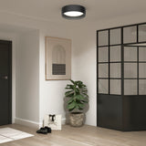 Minimalist interior with a black-framed glass partition, potted plant, framed abstract art, black shoes, a shopping bag, and a modern ceiling light. Light wood flooring and white walls create a bright space.