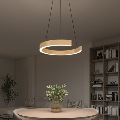 A modern, circular pendant light hangs above a round table with a potted plant. The room has neutral tones, a bookshelf, a couch, and a plant in the background, creating a cozy and elegant atmosphere.