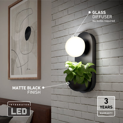 The Artika Bloomfield LED modern mid-century wall sconce 5 CCT features a matte black finish, round glass diffuser, built-in planter with greenery, integrated LED (no bulbs needed), and includes a three-year warranty. Art decorates the adjacent wall.