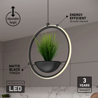 The Colin LED modern planter pendant light 5 CCT by Artika is shown in a kitchen, featuring a matte black ring, integrated planter, adjustable height, energy-efficient LEDs (no bulbs needed), 3-year warranty, and stylish matte black finish.