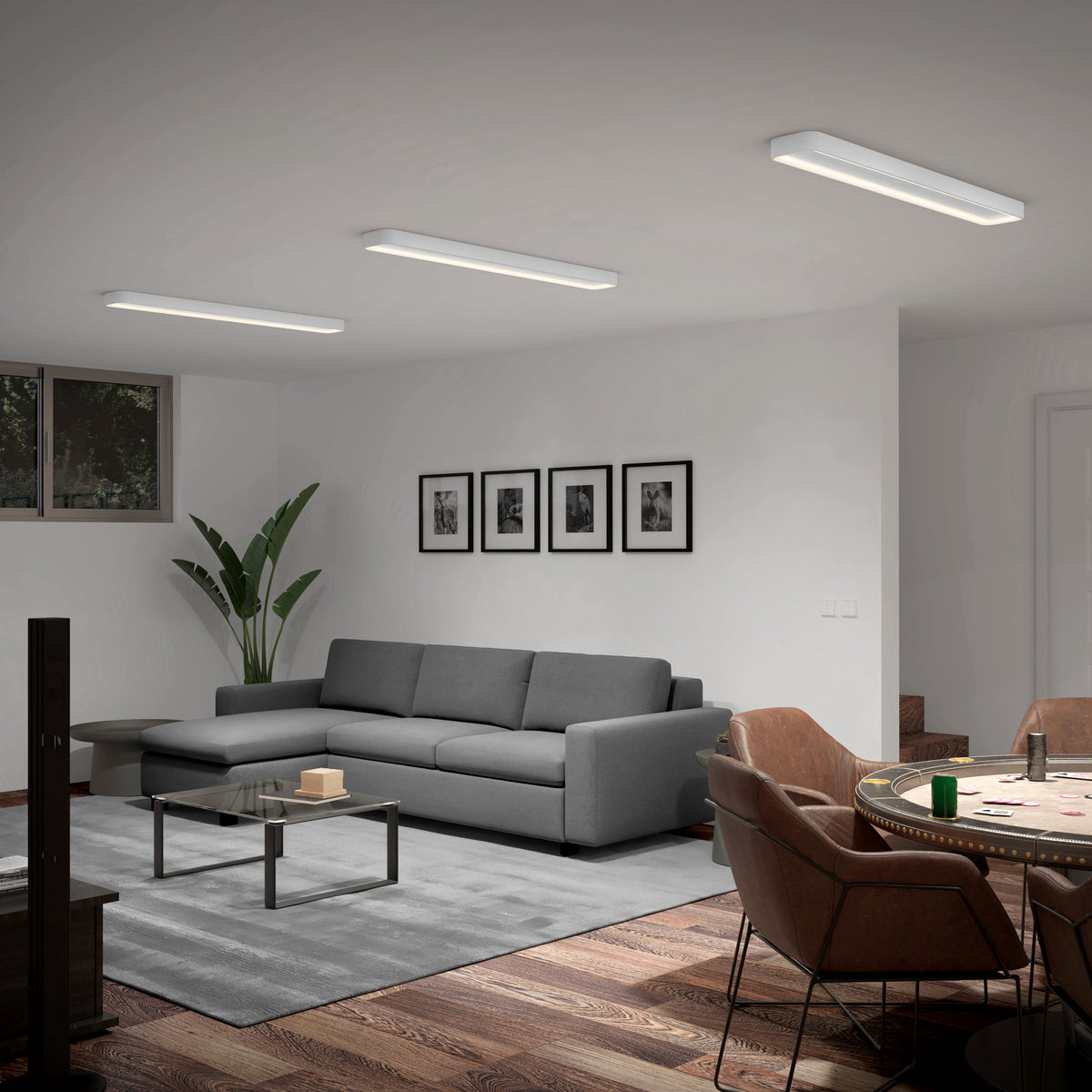 A modern living room with a gray sofa, glass coffee table, large plant, framed photos on the wall, brown dining chairs around a round table, and three rectangular ceiling lights. Wood flooring and minimal decor.