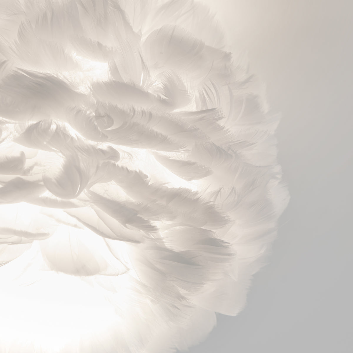 The Artika Plume LED flush mount light features soft, white feather-like elements arranged in a circular design, illuminated from below for a light, airy ambiance against a pale background.