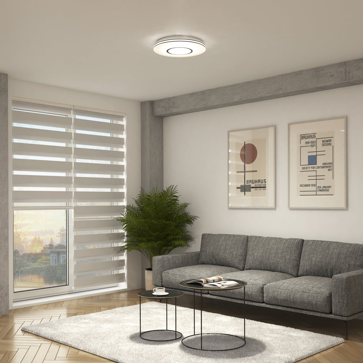 A modern living room with a gray sofa, two round black coffee tables, a potted green plant, large window blinds, framed abstract art on the wall, and a circular ceiling light.