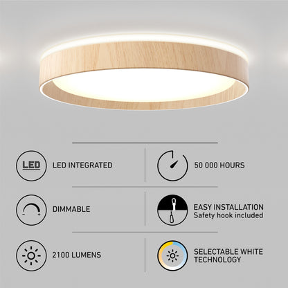 Callisto 15 in. LED flush mount light 5 CCT