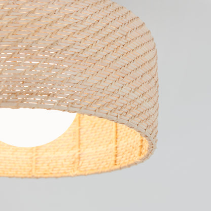 Emiko modern LED flush mount light 5 CCT