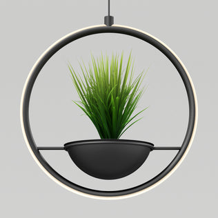 The Colin LED modern planter pendant light 5 CCT by Artika features a black half-sphere pot with grass-like plants, suspended in a circular black frame, creating a stylish centerpiece against a gray background.