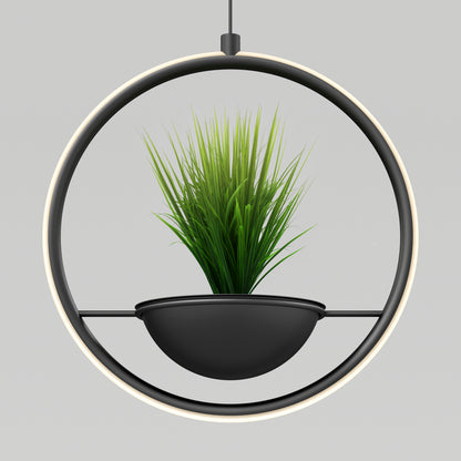 The Colin LED modern planter pendant light 5 CCT by Artika features a black half-sphere pot with grass-like plants, suspended in a circular black frame, creating a stylish centerpiece against a gray background.