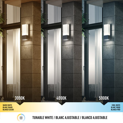 Dixon indoor-outdoor LED wall light
