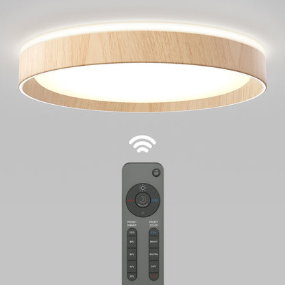 Callisto 15 in. LED flush mount light 5 CCT