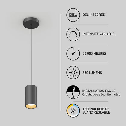 Artika Alton mini LED pendant, 5 CCT, 50k hrs, 650 lm, adjustable white—French icons included.