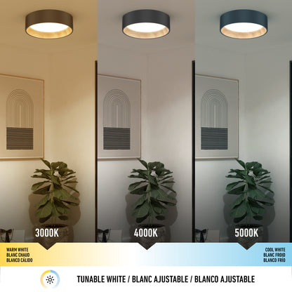 A modern room with a plant and wall art is lit by the Artika Alton LED flush mount, offering three dimmable color temperatures—3000K, 4000K, and 5000K—that each create unique effects.